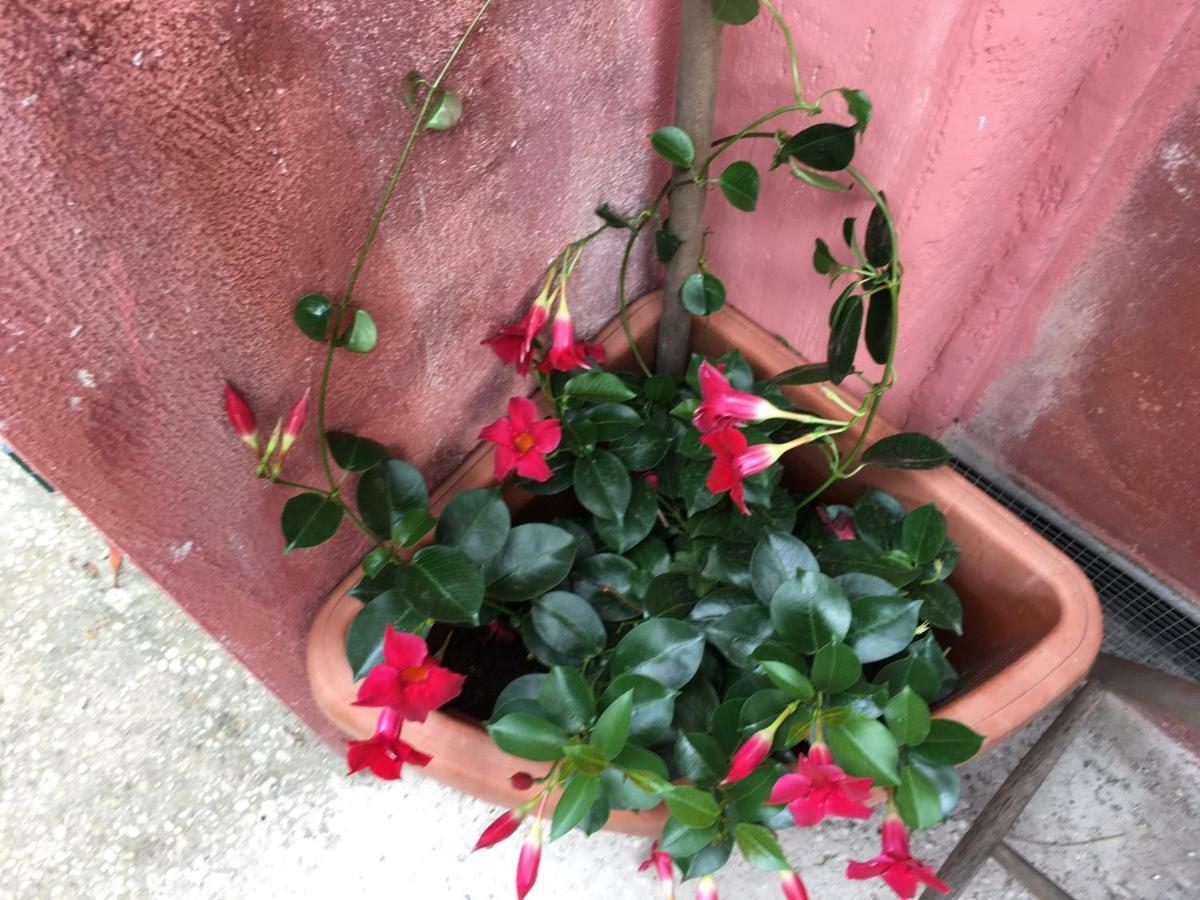 Apartment Appia Park 10 Min Dal Colosseo *